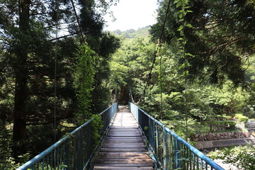 竜ヶ岳　橋