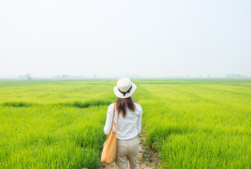 Naklejka na ściany i meble Woman tourist looking to the beautiful view of rice field green grass in the countryside of Thailand in the morning. 