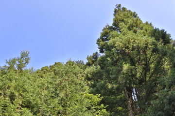 登山 竜ヶ岳にて