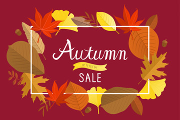 Autumn sale banner background with fall leaves.