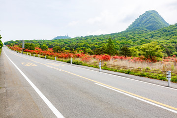 榛名山　ゆうすげ湿原　つつじ