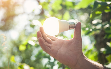 Hand holding light bulb in nature. Green energy