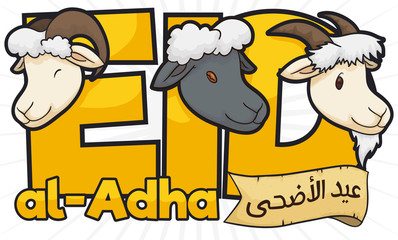 Fototapeta premium Ram, Sheep, Goat and Scroll Promoting Eid al-Adha Festival, Vector Illustration