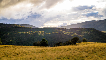 Paisaje campo soleado y tranquilo