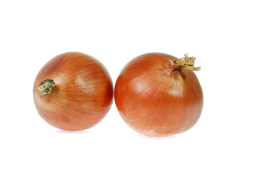 onion isolated on white