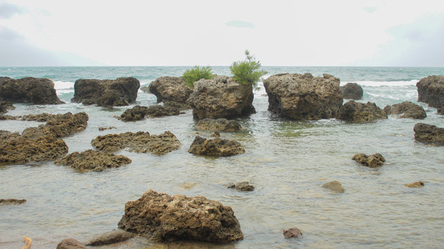 North Coast