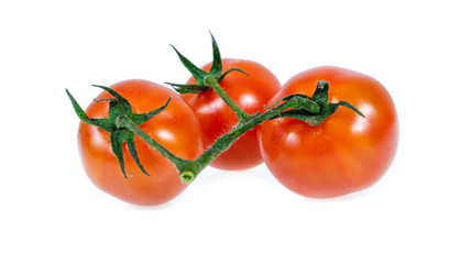 tomato isolated on white