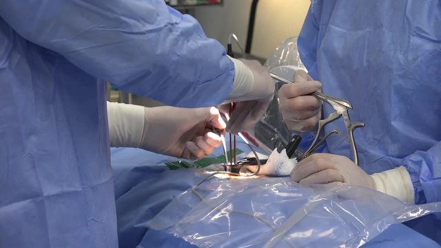 Minimally invasive surgeries encompass surgical techniques that limit the size of incisions needed and so lessen wound healing time, associated pain and risk of infection.