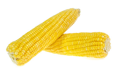 An ear of corn isolated on a white background