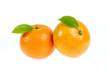 orang isolated on white