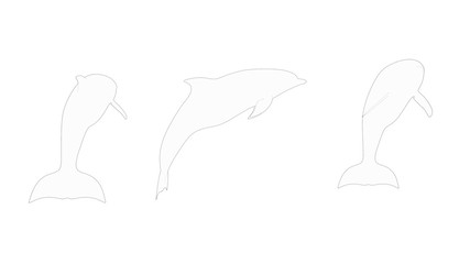 Dolphines 3d rendering isolated in white studio background © Sepia100