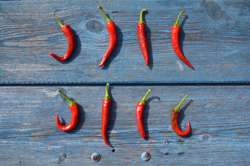 Closeup pods hot chili pepper on blue wooden garden table
