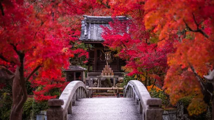 Fotobehang Bordeaux 京都府 永観堂 紅葉  © TAKUYA ARAKI