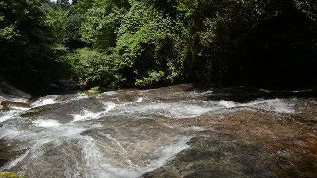 緑の森と布の滝の下の流れ