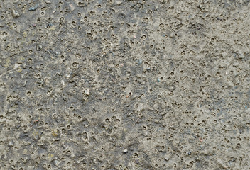 Gray concrete wall for background. Rough, rough, porous texture.
