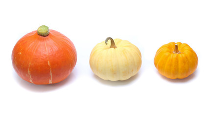 Pumpkin isolated on white background