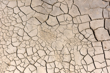 A dry cracked ground