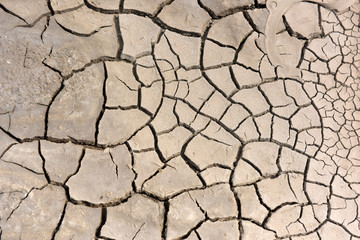 A dry cracked ground