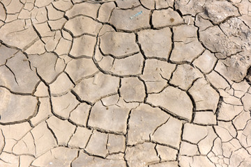 A dry cracked ground
