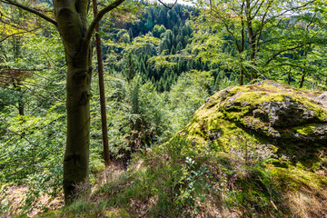 Thüringer Wald Gießübel Rennsteig