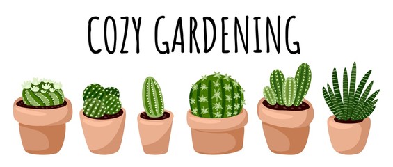 Cozy gardening banner. Set of hygge potted succulent and cactus plants. Cozy lagom scandinavian style collection of plants