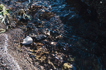 Water background with stones