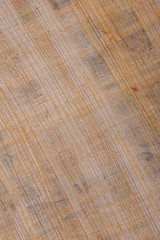 papyrus texture. papyrus closeup. pure papyrus