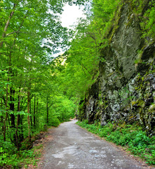 Fototapeta premium Lotrisor canyon - Romania