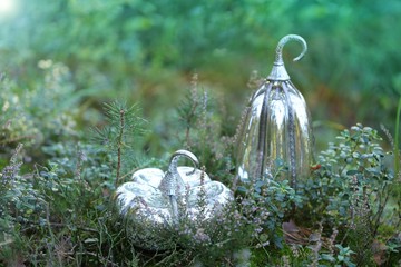 Autumn concept. Decorative silver pumpkins set in forest flowers and grass.Fall season.Autumn time