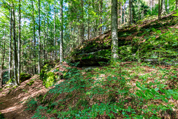 Thüringer Wald Gießübel Rennsteig