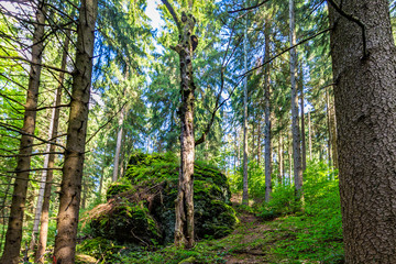 Thüringer Wald Gießübel Rennsteig