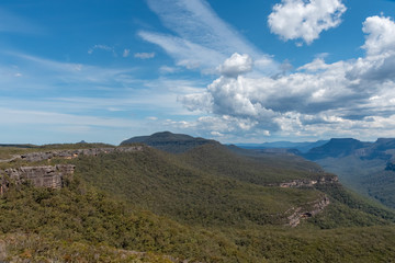 A lush and dense forest covers the vast valleys around Mt Bushwalker on a cloudy day in NSW Australia