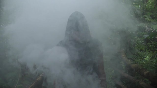 Ominous figure hidden by thick smoke emerges and walks through. Man with face hidden by hood and shadow with dangerous dark look.