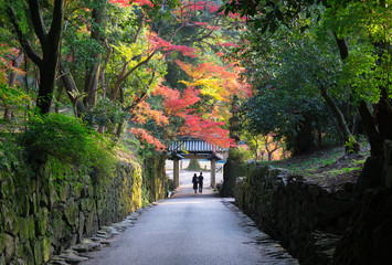 京都　興聖寺の紅葉