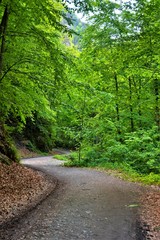 Obraz premium a dirt road through the mountains