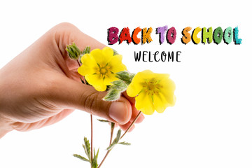 Hand holding a yellow flower