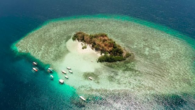 aerial view tropical island with sand white beach, clear and blue water. CYC Beach, Philippines, Palawan. Tropical landscape with blue lagoon, coral reef. travel concept