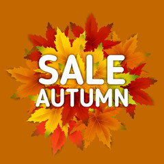 Autumn Sale Background Template, with falling bunch of leaves, shopping sale or seasonal poster