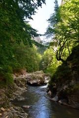 Fototapeta na wymiar Ramet canyon from the Apuseni mountains - Romania