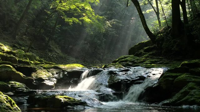 赤目四十八滝-姉妹滝-滝-夏