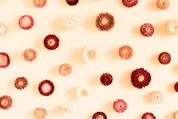 Flowers creative composition. Beautiful flowers on beige background. Flat lay, top view, copy space