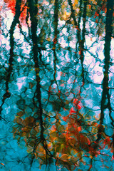 Blurred reflection of colored autumn trees in the cool blue water. Picturesque colorful leaves, bright autumn colors