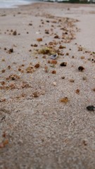Texture lines of sand on the beach