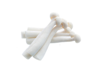 Enoki mushroom, White on background