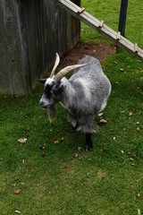 Goofy cute posing for the photo shoot