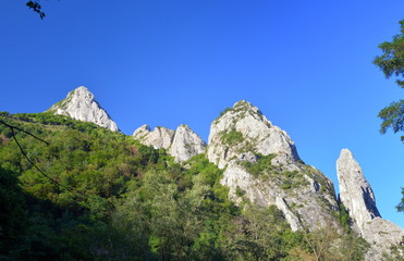 Fototapeta na wymiar Apuseni mountains - Romania