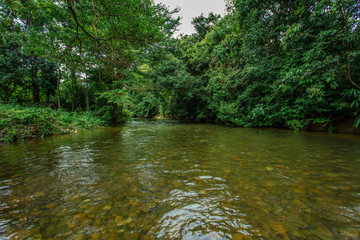 Agricultural Field, Flowing Water, Meadow, Rapids - River, Season
