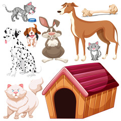 Set of isolated different pets