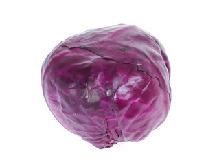 red cabbage isolated on white