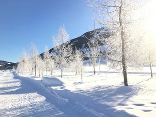 Westendorf,  Tirol, Kitzbühler Alpen, Ferienregion,